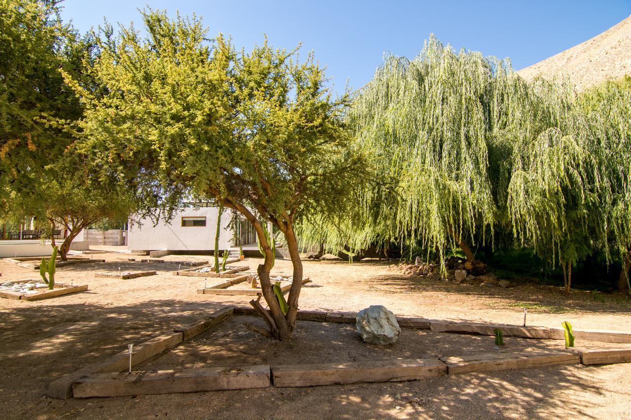 Aldea Del Valle - Elqui Villas, Pisco Elqui Kültér fotó