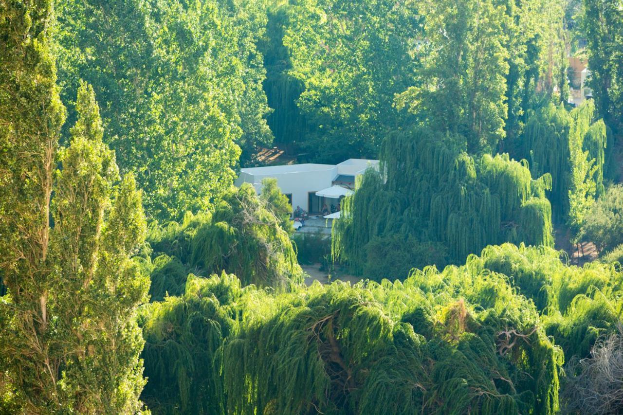 Aldea Del Valle - Elqui Villas, Pisco Elqui Kültér fotó