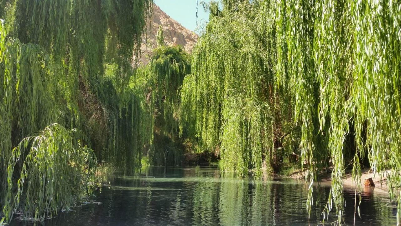 Aldea Del Valle - Elqui Villas, Pisco Elqui Kültér fotó
